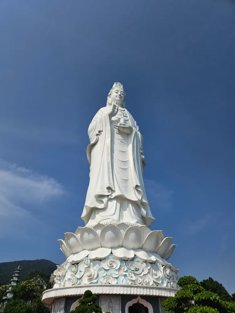 솔매