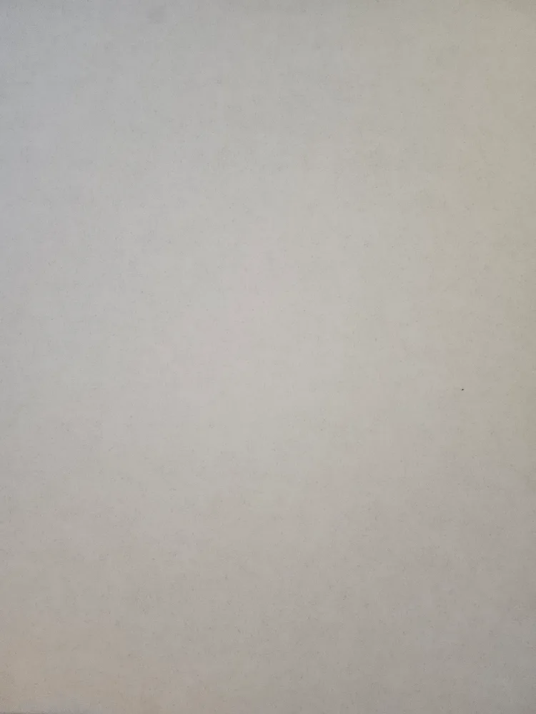 긍정님