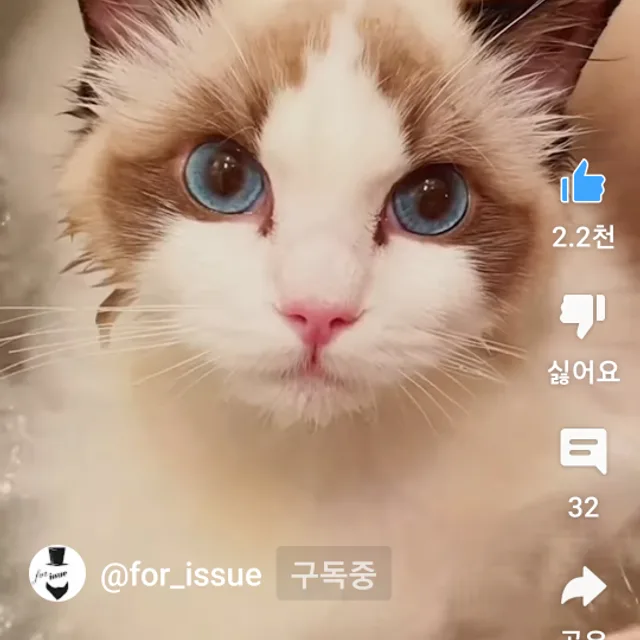 넘사벽