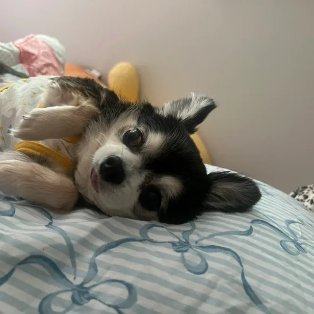 뫙뫙