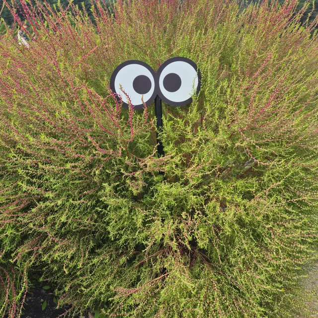 배고파요