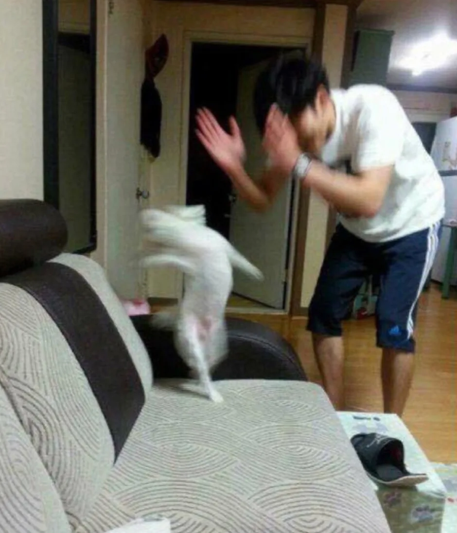 바라미