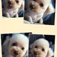 행운