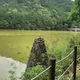 신박한