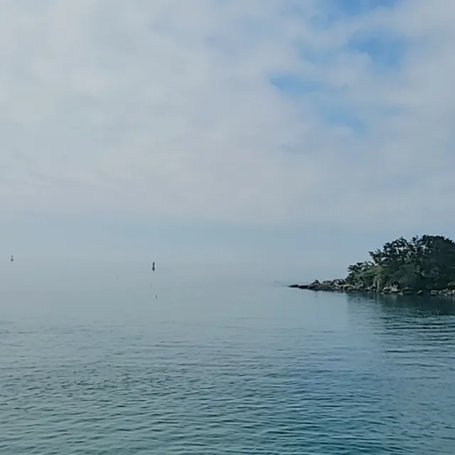 복스런여자