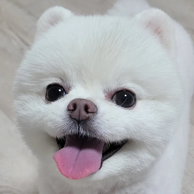 겨울밤오댕국물