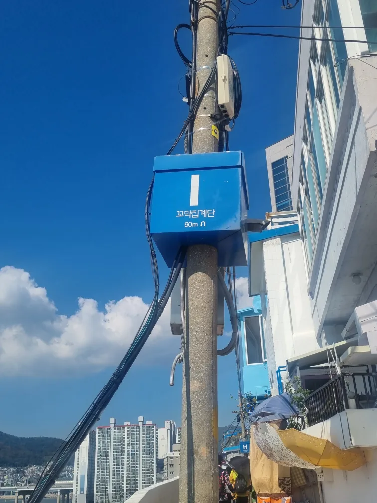 작생