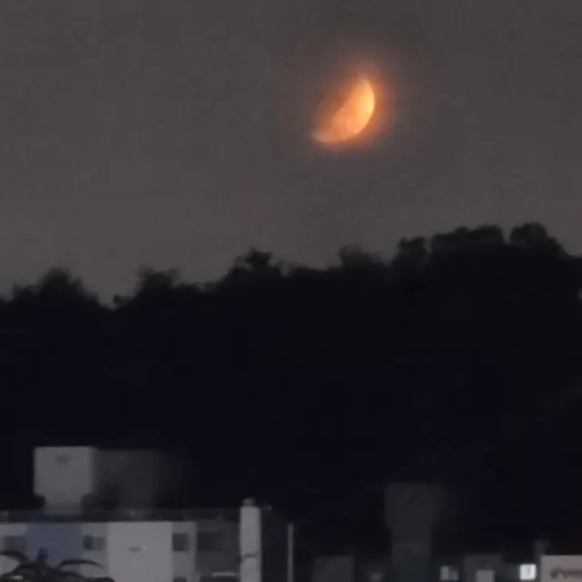 주린