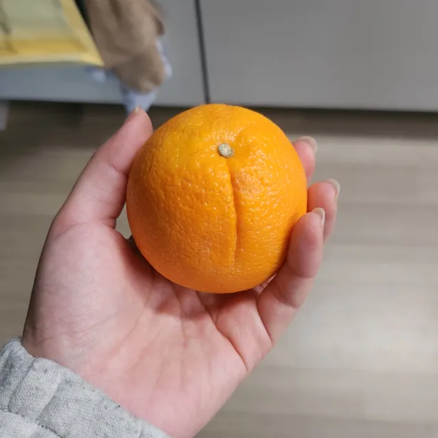 매천이
