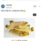 와이오키