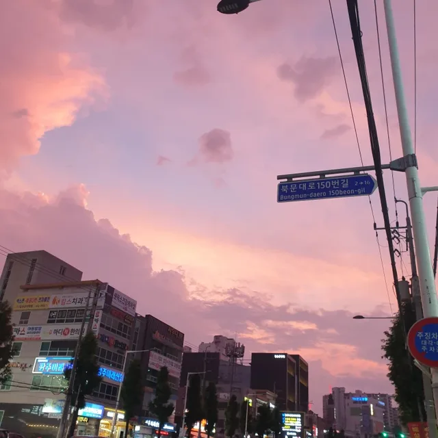사회복지사취준생