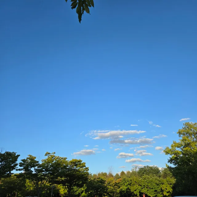 뽀둥