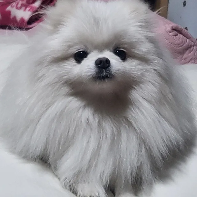 대한민국아빠들화이팅