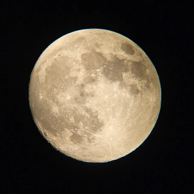 해소