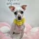 wnj