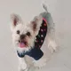 모닝