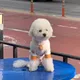 봄이