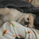 콩2