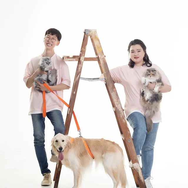 모닝레몬티
