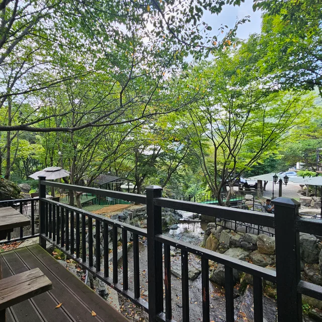햇감자도링