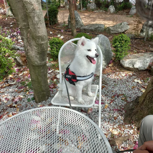 사라w운정