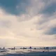 DS