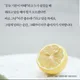 눈누난나