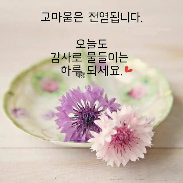 비움과채움