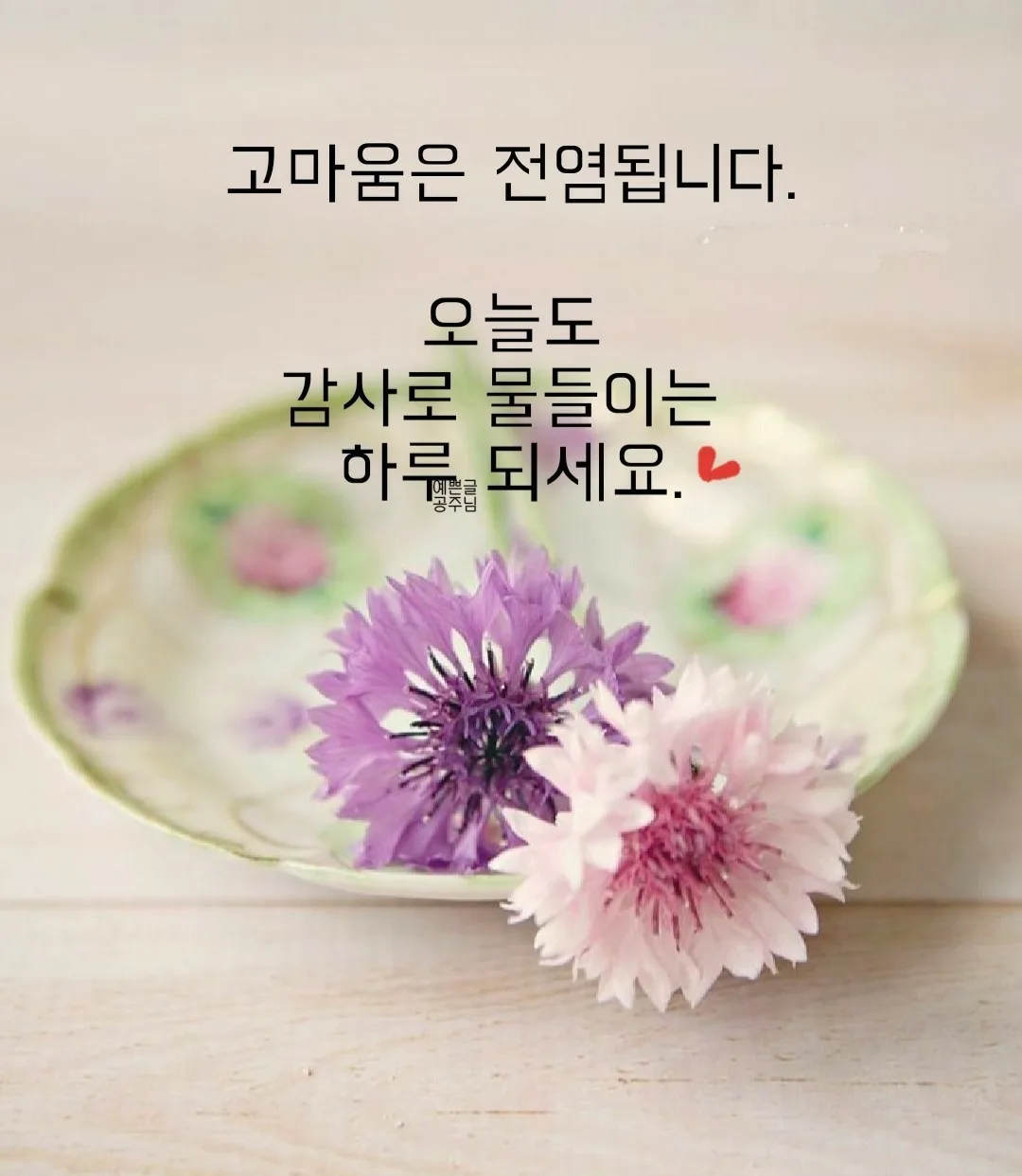 박여사