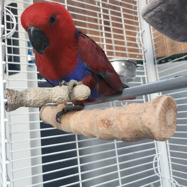 profile