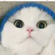 스마일보이