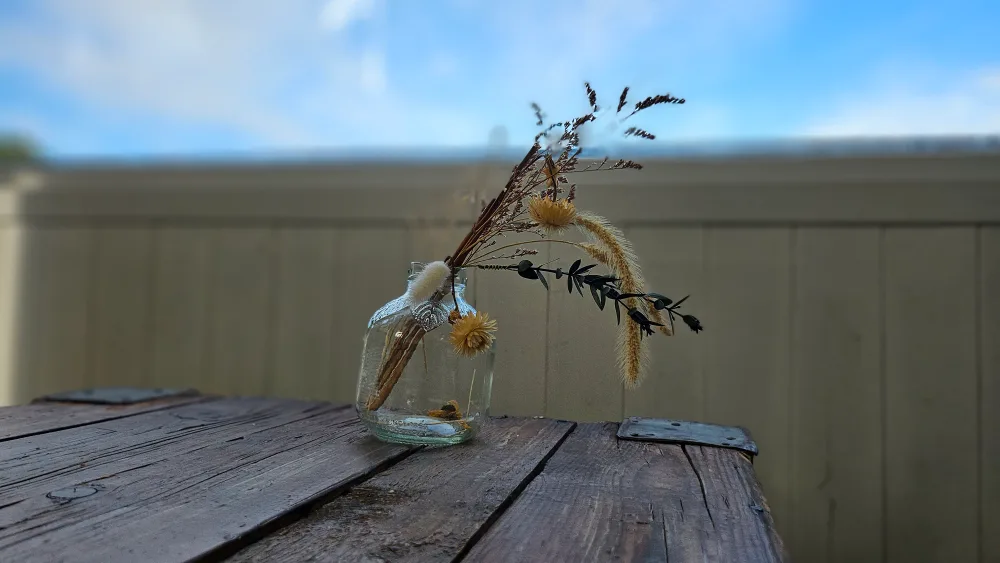 바람