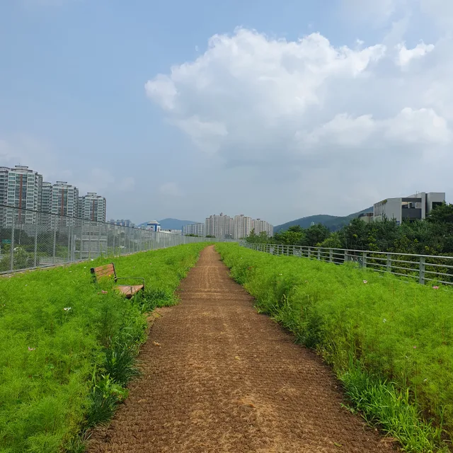 바른길