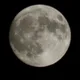 허슬라