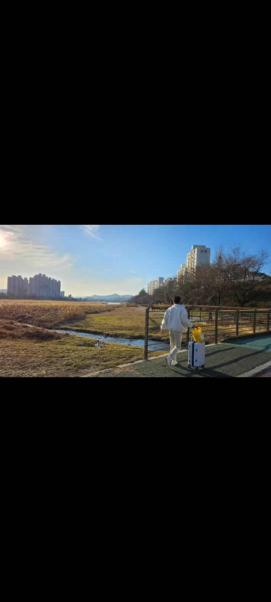 농구