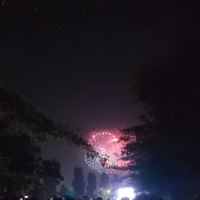 바람물결