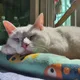 야미설이