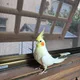서진맘