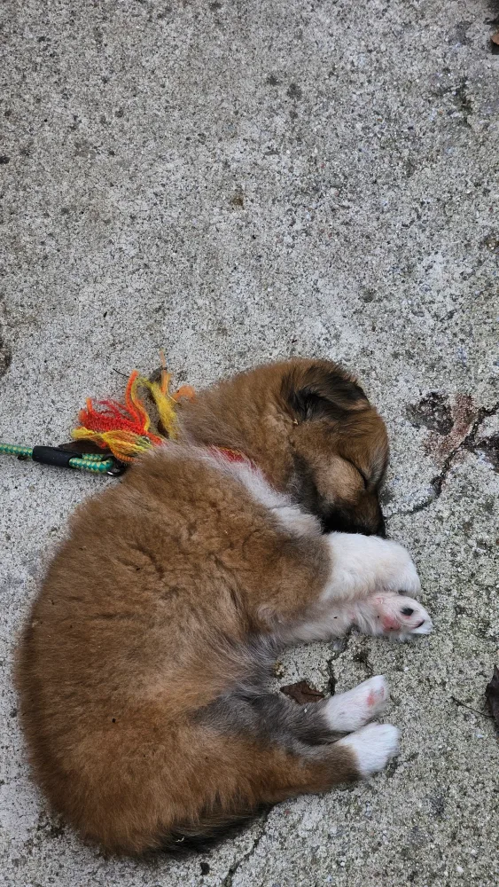 광주