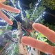 민제이