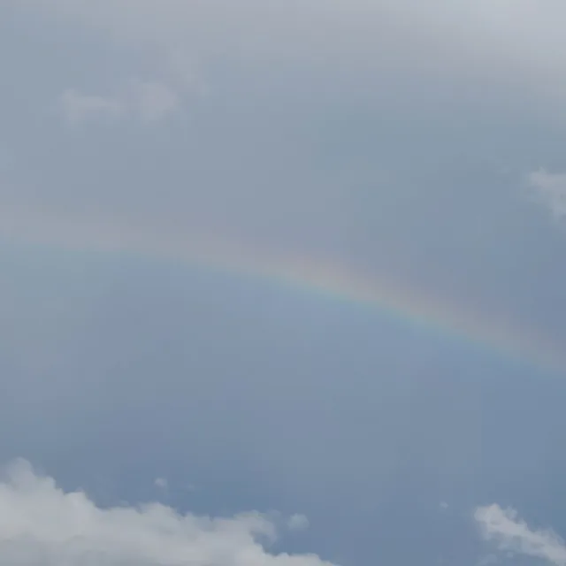 RainbowLife