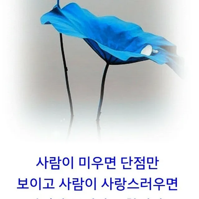 날개