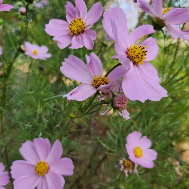 보석십자수
