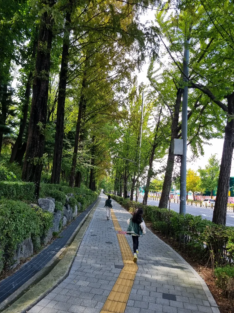 뿅뿅뿅
