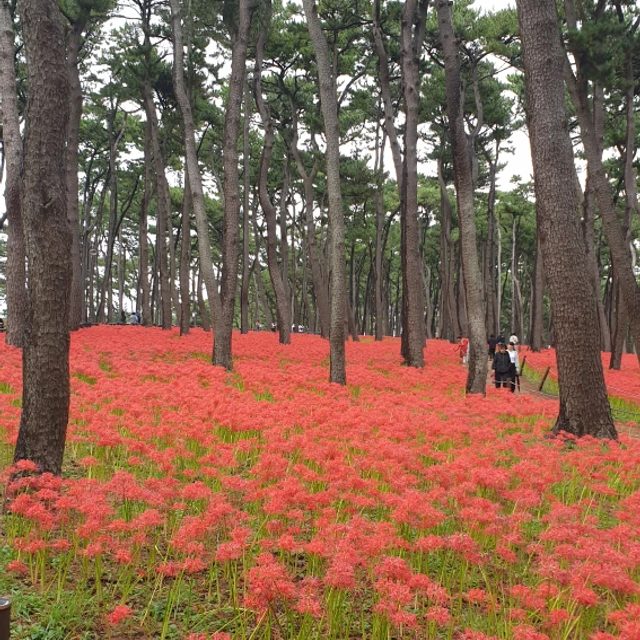 학진원 프로필 이미지