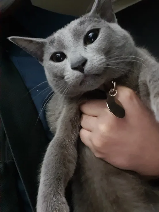 하루집사