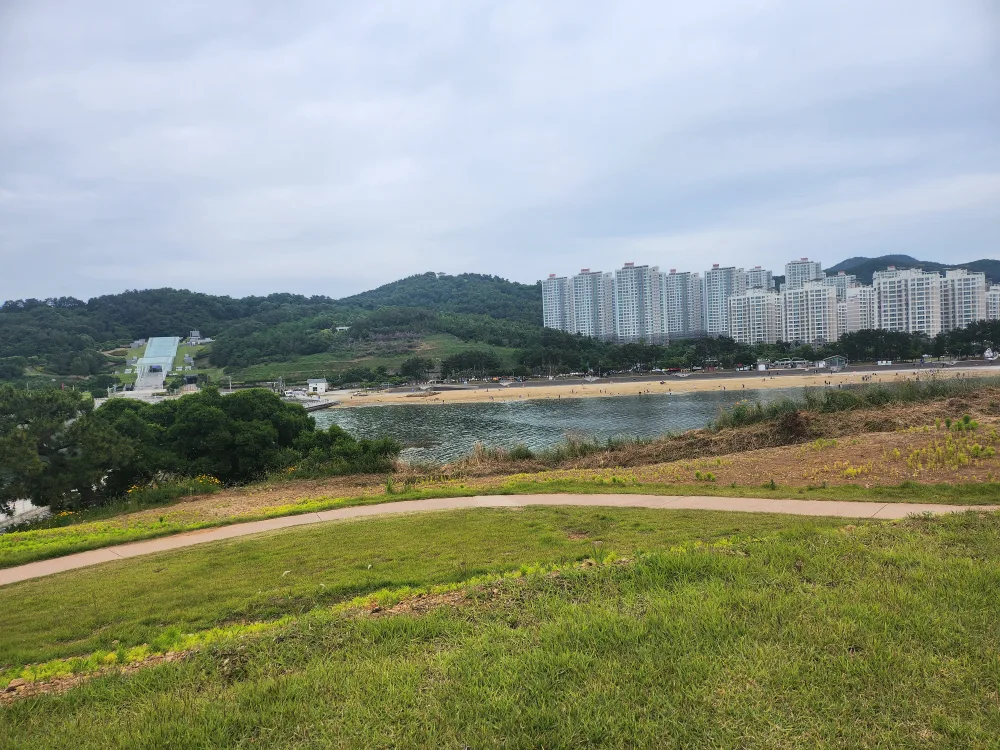 햇살강쥐