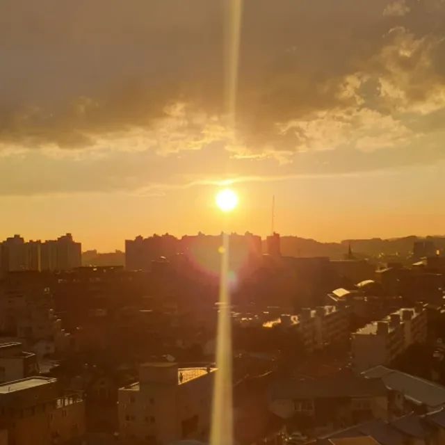 감자
