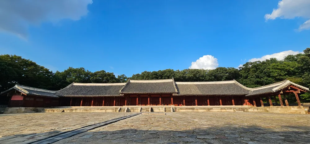 콘콘