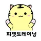 피젯트레이닝
